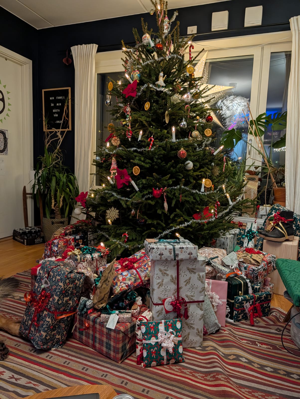 Klappar in under granen