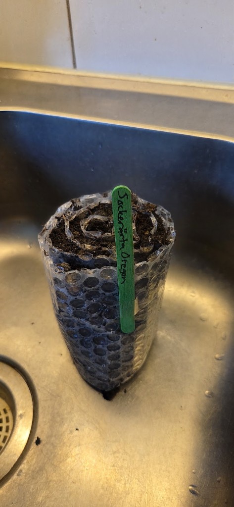 23 maj · Oregon Sugar Pod kasserad 🚮 — ingen tog sig