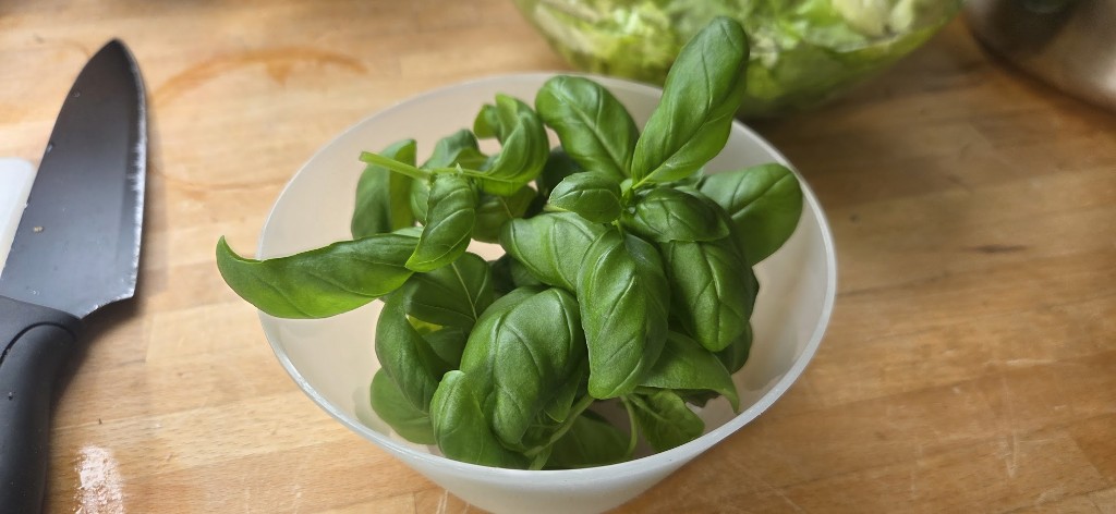 Genovese