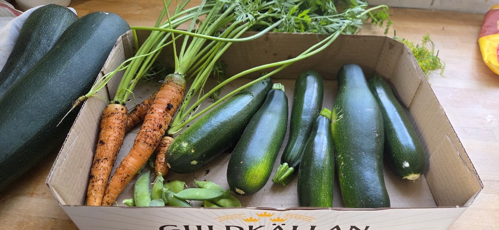 Zucchini, morötter, ärtor
